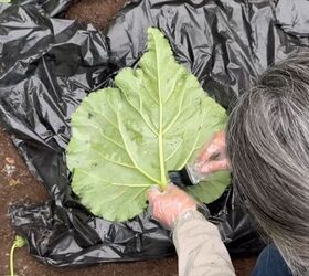 Garden drainage improvement