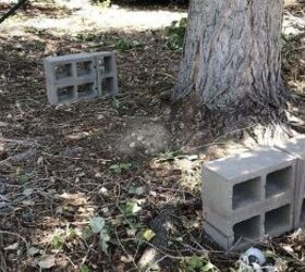 Why she stands 6 cinder blocks in her yard (genius!)