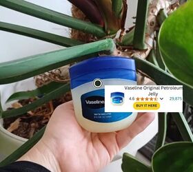 Vaseline for fly trap