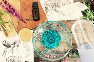 Why every pet owner needs to know this Dawn dish soap hack right now