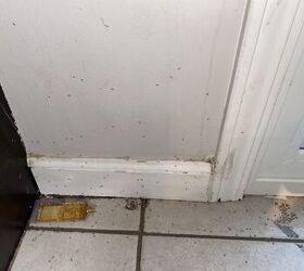 The 5-minute way to get rid of ants for GOOD!