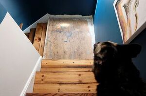 We never would have thought of doing this to our staircase, but it's wild!