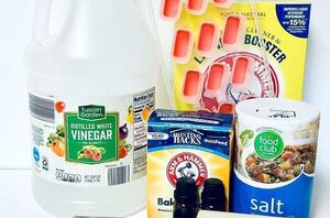 Mix vinegar, baking soda, and salt, then grab an ice cube tray for this trick