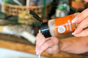 Why you should definitely grab the cinnamon when you're decorating for fall this year