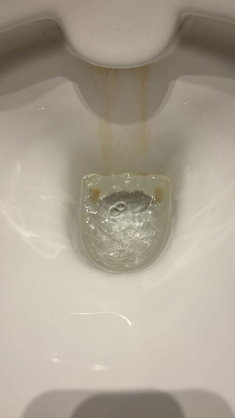 Limescale build up in toilet bowl