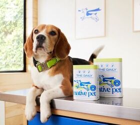 This is the secret to a happy, healthy dog (and it just launched at PetSmart nation-wide!)