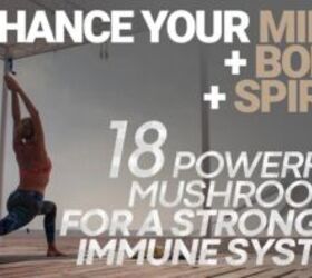 Unleash the Power of Nature with Herbtonics Mushroom Supplement Complex: Your Daily Immunity and Energy Booster!