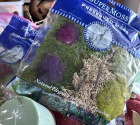 Watch how she uses moss for this game-changing indoor topiary idea