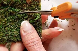 This little trick will blow your guests away this holiday season