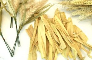 You don't have to go big for perfect fall decor—just try this