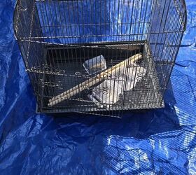 Instead of tossing that old useless birdcage, she turned it into this beatiful idea for her garden