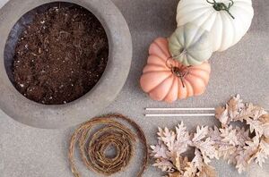 Put a planter on your porch this week (not for plants!)