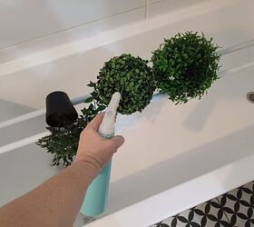 Spraying the plants with water and soap mixture