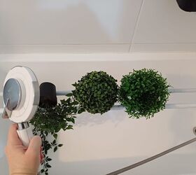 Rinsing plants with handheld shower over bath