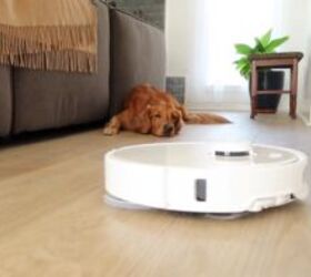 Say goodbye to pet messes and odors with our newfound cleaning powerhouse!