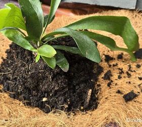 She adds this often-overlooked plant to a wood palette for this truly one-of-a-kind garden feature