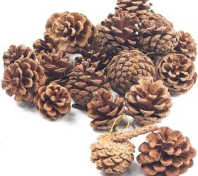 10 amazing pine cone decorating ideas to try this season