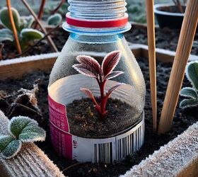 Protect your plants from frost with this clever cover!