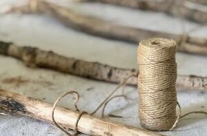 Why she collected sticks from her yard and brought them inside this week