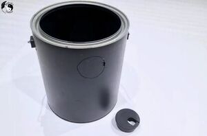 The gorgeous reason she fills an empty paint bucket with water