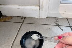Put bowls of borax and sugar on your floor to solve this common household problem
