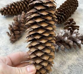 The gorgeous and simple reason she collects a bunch of pine cones from her yard