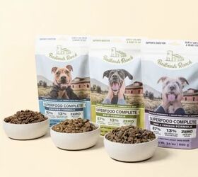 Katherine Heigl Wants You to Feed Your Dogs THIS