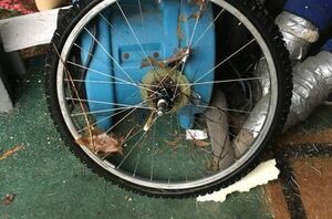 Hang a bicycle wheel outside for this beautiful spring idea