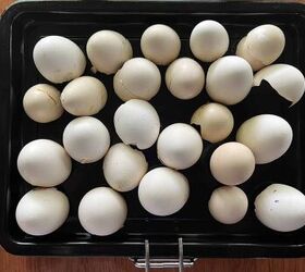 She bakes a tray of empty eggshells for this brilliant outdoor hack