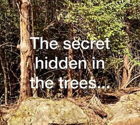 9 secrets to european farmhouse style, Photo of trees hiding a shed