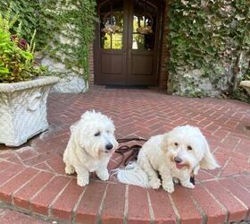 9 secrets to european farmhouse style, Emily and otis at front door