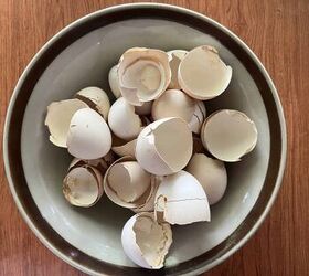 Save all of your eggshells to copy this simple and easy spring hack