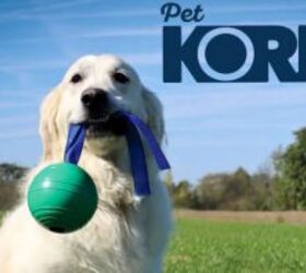Discover The Ultimate Play, Enrichment & Training Toys for Pets With PetKORE™