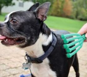 Discover The Ultimate Play, Enrichment & Training Toys for Pets With PetKORE™