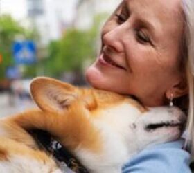 I Couldn't Afford My Dog's Meds – Until I Found This