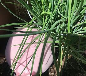 crafting crafting with kids decorating DIY diy decorating spring decorating Easter original designs re purposing seasonal sweaters Sweet Sweater Bunny Tails up cycling tutorial trash to treasure Easter decorating sweater decor