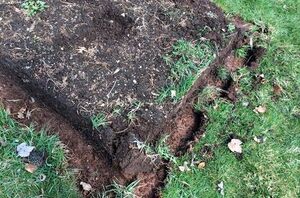 They took apart their old raised garden and made something so beautiful