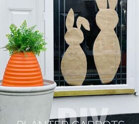 carrot planters
