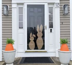 carrot planters