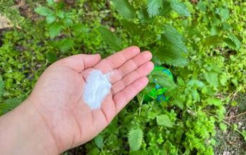 Baking Soda Weed Killer: A Surprisingly Simple Garden Hack That Works