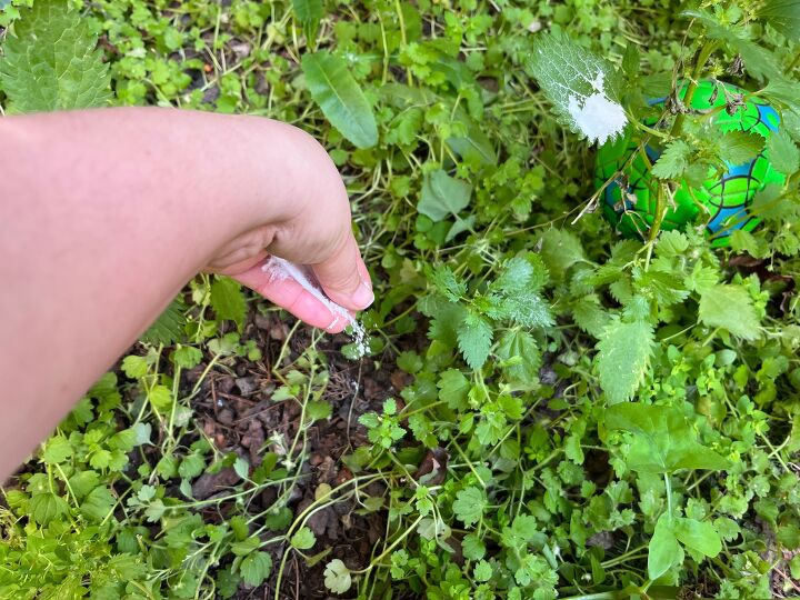 How to kill weeds with baking soda for a chemical-free garden