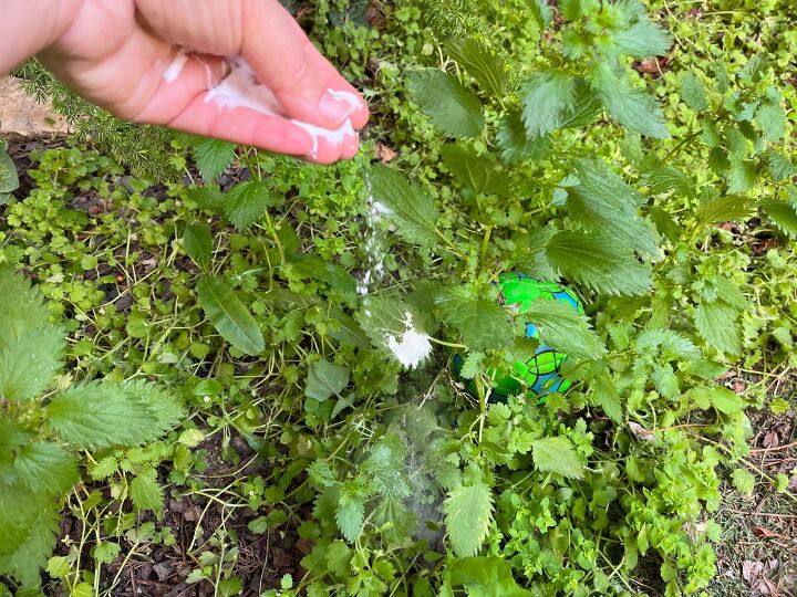 Pet-safe weed killer made with baking soda and zero harsh chemicals