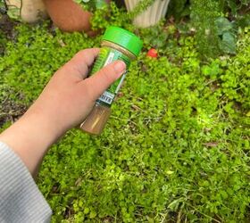 The brilliant reason that everyone might want to sprinkle cinnamon outside this week