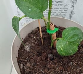 hanging plant pots indoor Rosie: UFO Hanging Plant Pot main image 0