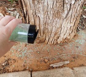 Protect young fruit trees by sprinkling Irish Spring soap in the yard around the base