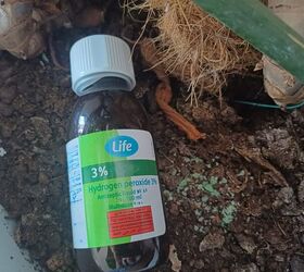 Easy weed killer for patios and pavers