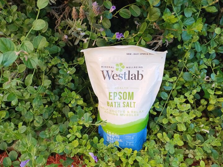 Kill Weeds Fast With This Vinegar Epsom Salt Weed Killer Recipe | Hometalk