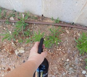 Budget-friendly way to kill weeds using a vinegar and salt solution