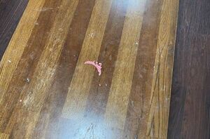 Here's what to do if you have anything stuck to your wood furniture