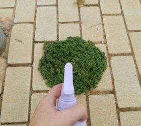 Rubbing Alcohol Weed Killer: A DIY Garden Hack That Actually Works